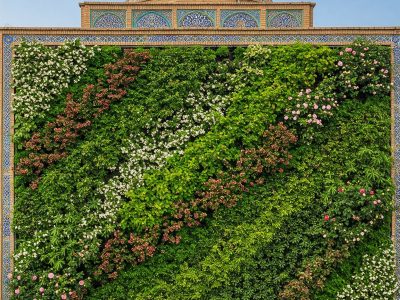 دیوار سبز خزه‌ای